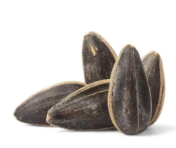 In shell sunflower seeds 2 LB Roasted in Small Batches -Vegan & Keto Friendly - Packed with Vitamin E and Magnesium - Farm Fresh Nuts Brand