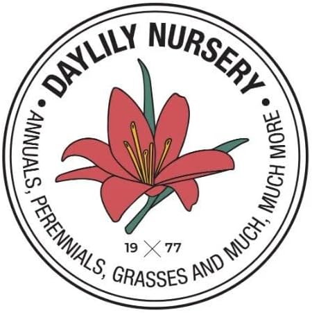 8 Containers of Mixed Lenten Rose/Hellebore in 2.5 Inch Pots- Great for Fall Planting!