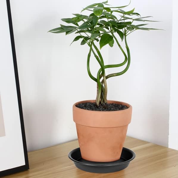 6 Pack 6 inch Plant Saucer Tray, 4 6 8 10 12 15 17 19 inch Plant Saucers, Heavy Duty Plastic Plant Saucers for Indoors, Bird Bath Bowls, Flower Plant Water Trays for pots Planter (6", Black)