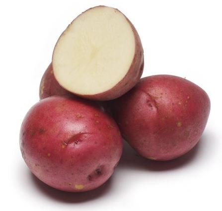 Red Norland Seed Potatoes- 5 pounds- New Crop 2020