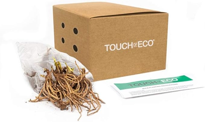 3 Double Phlox Bare Root Perennial Flower Collection - Vibrant and Stunning Mix of Pink, White and Red Colors - Blooms Create Beautiful Clusters of Petals - Attracts Butterflies, Bees & Hummingbirds