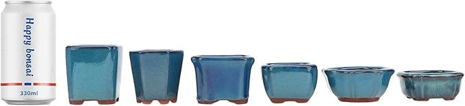 Bonsai Planter Succulent 6 pc Mini Glazed Pots Value Set + 6 Soft Mesh Drainage Screens