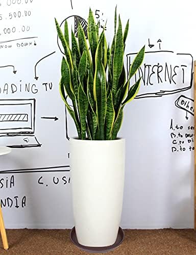 4 Pack of 18 19 inch Plant Saucer Drip Tray (16.6 inch Base), Heavy Duty Large Deep Plant Saucers for Pots, Bird Bath Bowls, Plastic Planter Water Trays for Indoors Outdoor (18", Chocolate)