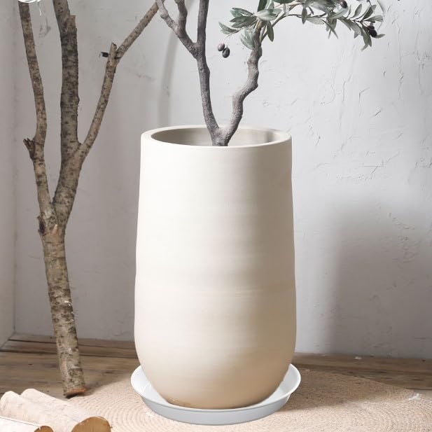 12 Pack Plant Saucer, 6 8 10 inch Plant Saucers Heavy Sturdy Plastic Planter Trays Pot Tray for Indoor Outdoor, Plant Water Drip Trays for Pots, White