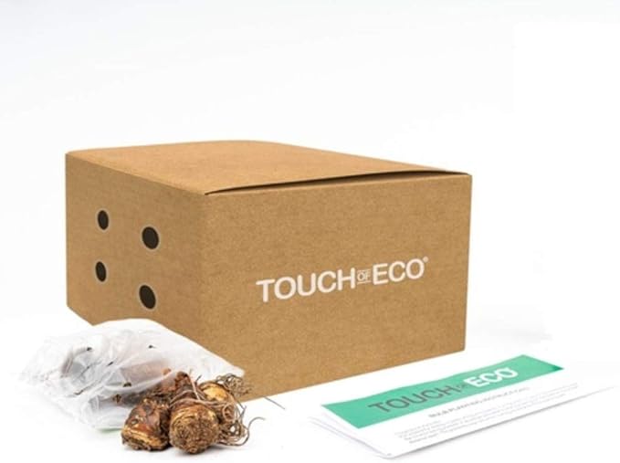 Amazing Deal - 30 Freesia Mixed Perennial Flower Bulbs - Vibrant, Variety Colorful, Fragrant Flower Perfect for Gardens - Easy to Grow - Attracts Butterflies, Bees & Hummingbirds