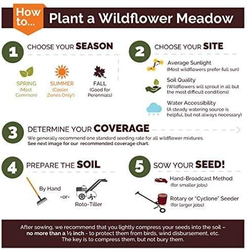 Non GMO Bulk Midwest Wildflower Seed Mix 25 Species of Wildflower Seeds (1/2 Lb)