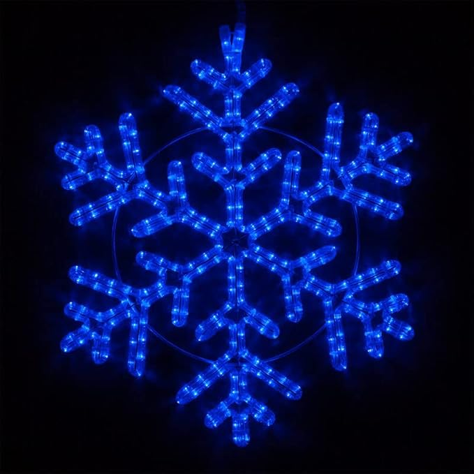 Wintergreen Lighting LED Snowflake Light Christmas Decorations Outdoor, Rope Light (24", 42 Point, Blue)