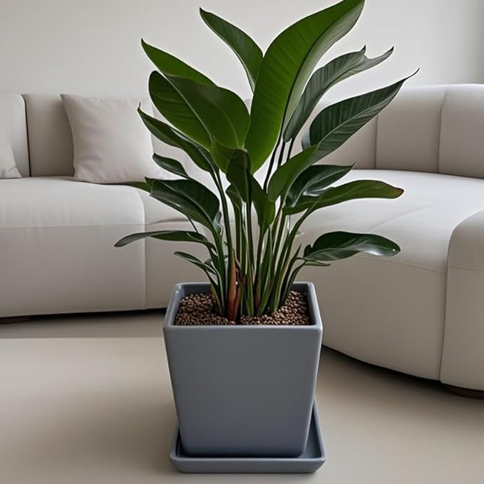 Square Plant Saucer 14 Inch 1 Pack,Plant Trays for Pots, Gray Ceramic Plant Saucers for Indoors Outdoors, Plant Drip Tray 4 6 8 10 12 14 Inch