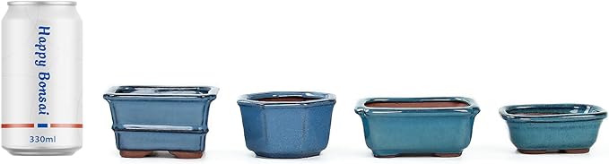 Bonsai Planter Succulent Mini Glazed Pots Value Set of 4, with 4 Soft Mesh Drainage Screens