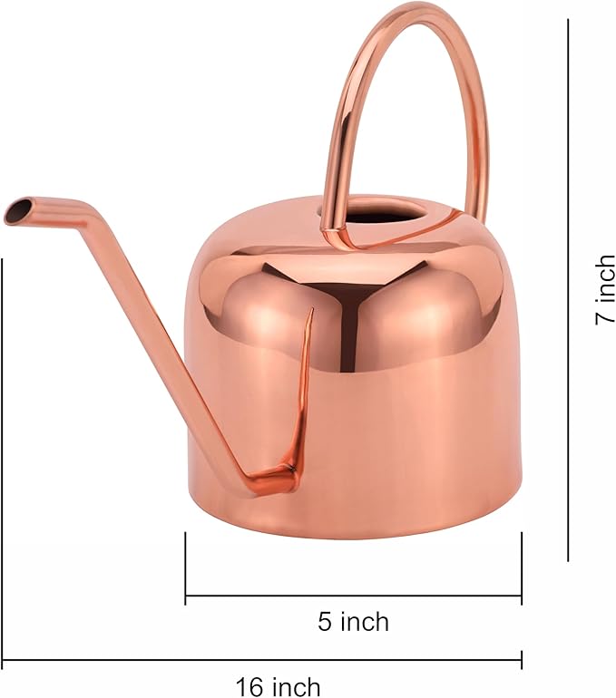 Glytterati - Indoor Watering Can and Planter with Plate.