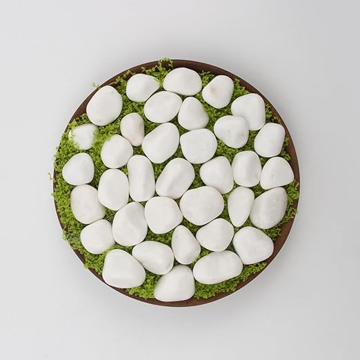 10 lbs White Polished Decorative Stones, 0.5-1 Inch Landscape Rocks for Indoor Plants, Garden, Outdoor Pathways, Vase Fillers, Pots, Glass Containers, and Craft Pro (Pure White, Weight: 10 LB)