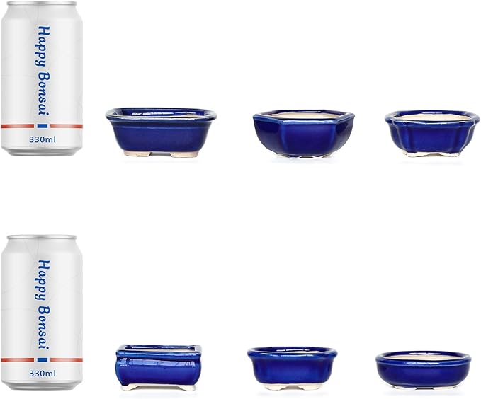 Bonsai Planter 6 pc Mini Glazed Succulent Pots Value Set + 6 Soft Mesh Drainage Screens