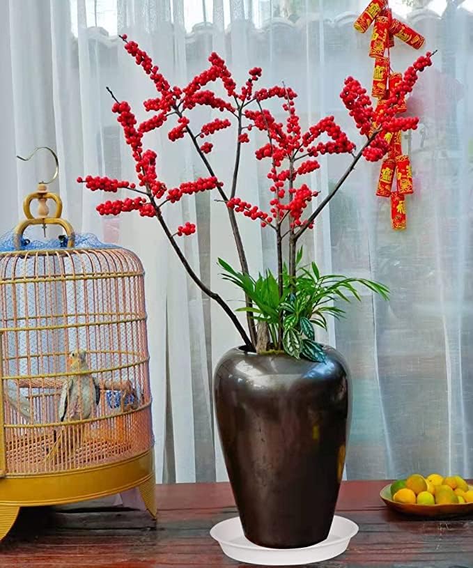 6 Pack Plastic White Plant Saucers for Potted Plants, 4 5 6 7 8 9 10 11 12 14 inch, Flower Pot Water Trays for Indoor Outdoor Ceramic or Plastic, Plant Containers Indoor (6", Creamy White)