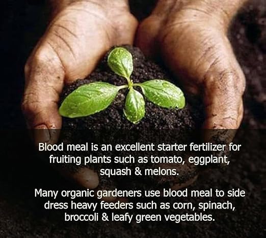 ππππππππππ Organic Blood Meal Fertilizer by Gardenera - 12-0-0 NPK - All-Natural Plant Food Source of Nitrogen for Organic Gardening, Flowers, Vegetables, Trees & Shrubs - 10 QUARTS
