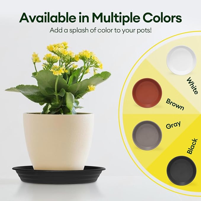 6 Pack Plant Saucer, 8 10 12 inch Plant Saucers for Indoor, Heavy Duty Plastic Plant Trays for pots, Grow Bags, Bird Baths, Flower Drip Trays for Indoor and Outdoor Uses (8", Black)