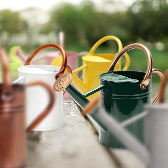 Metal Watering Can with Removable Spout, Galvanized Watering Can, Perfect for Indoor Use and for Outdoor Use (1 Gallaon, Green)