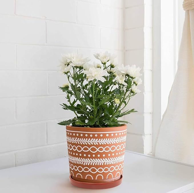 Ceramic Plant Saucer Pot Tray 8.5 Inch, Planter Saucers 6 7 8 9 10 11 12 15 Inch, Durable Sturdy Flower Drainage drip Water Tray for Glazed Pots Base (8.5 Inch- Red Terracotta)