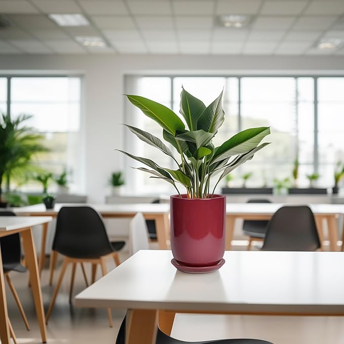 Ceramic Pot for Plants - 8 Inch Plant Pot Indoor with Drainage Hole and Saucer Cylinder Flower Pot for Indoor Outdoor Plants Home Patio Office Decor Red