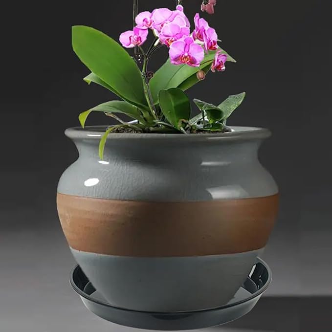 12 Pack Plant Saucer Tray, 6 8 10 inch Plant Saucers for Indoor Outdoor, Heavy Sturdy Plastic Planter Trays, Drainage Drip Water Trays for Flower Pots, Black