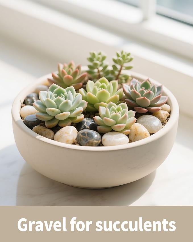 2.5lb Natural Polished River Rocks - 5/16-5/8 Inch Decorative Stones for Plants Garden Landscaping & Outdoor Decor Small Smooth Pebbles for Indoor/Outdoor