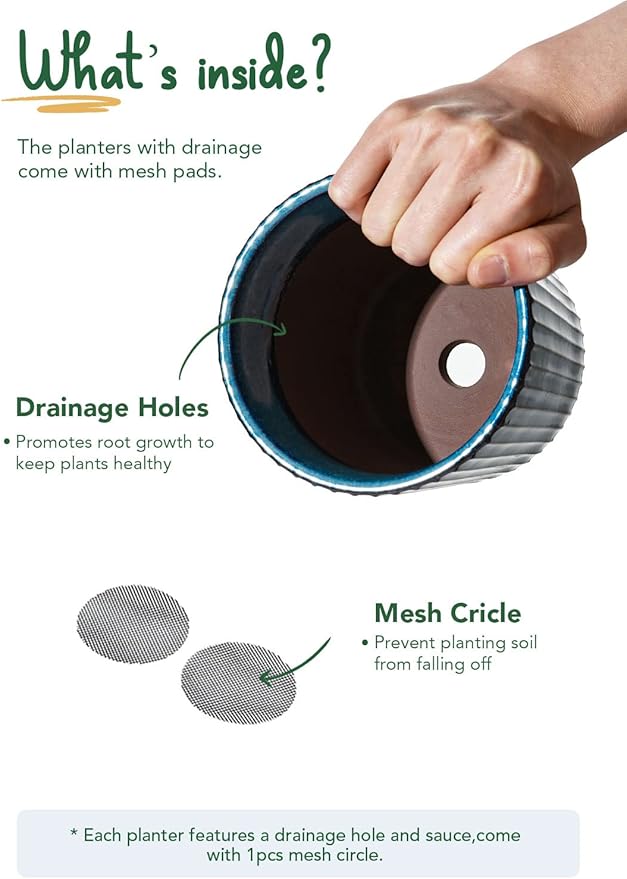 LE TAUCI Ceramic Pots for Plants, 5.5 Inch Plant Pots with Drainage Hole and Saucer, Indoor Plant Pots for Succulent, Snake Plants and Cactus, Flower Pots, Set of 2, Reactive Glaze Blue