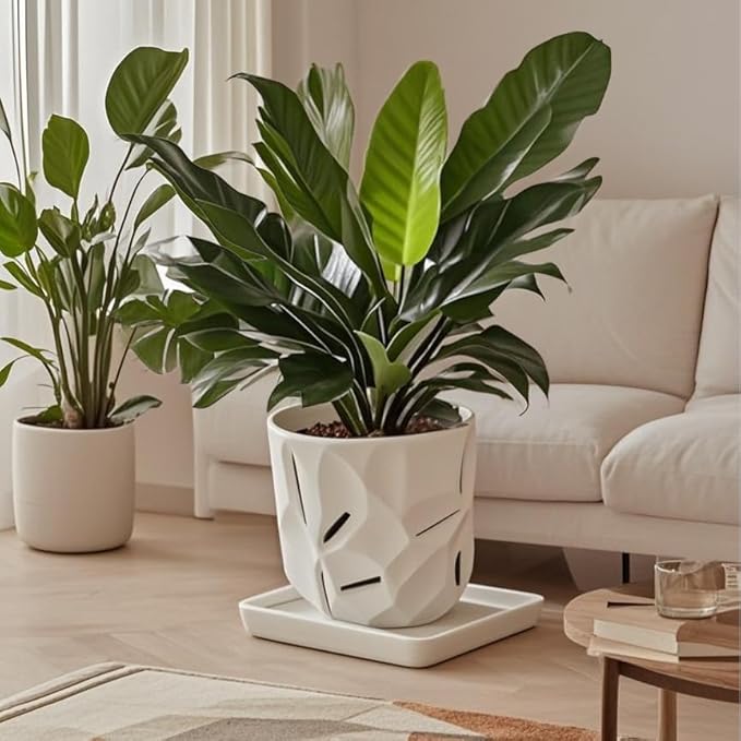 Square Plant Saucer 10 Inch 2 Pack,Plant Trays for Pots, White Ceramic Plant Saucers for Indoors Outdoors, Plant Drip Tray 4 6 8 10 12 14 Inch