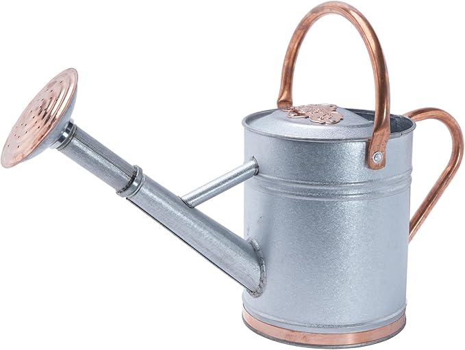 1 Gallon Galvalume Metal Watering Can with Solid Brass Sprout, Handle & Base Trim - Genuine Forged Copper Joints for Indoor/Outdoor Plants, Garden, Balcony for Kids and Adults (Stardust & Vermilion)