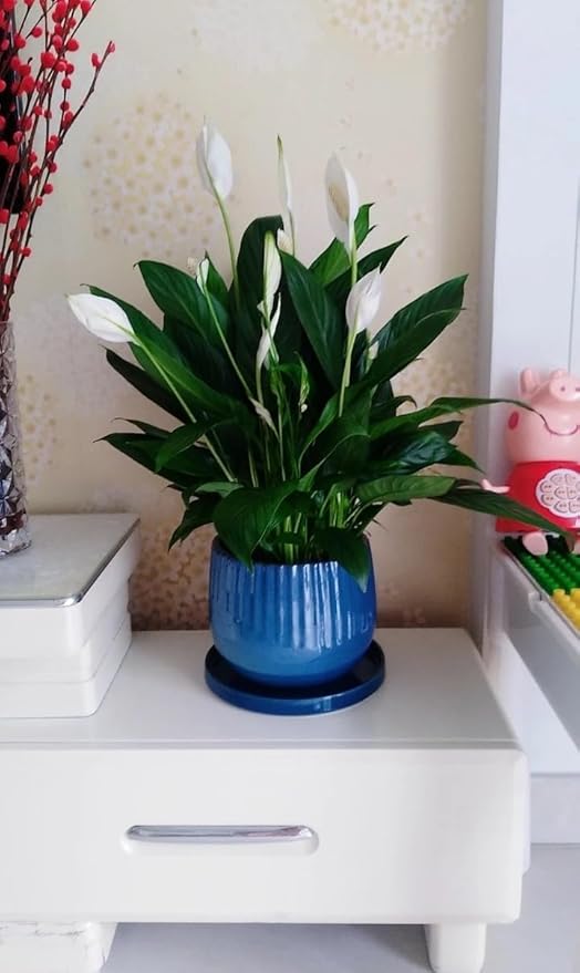 Ceramic Plant Saucer Pot Tray Blue 2pcs-12 Inch, Planter Saucers 4 5 6 7 8 9 10 11 12 Inch for Indoors Outdoor, Durable Sturdy Flower Drainage Tray for Glazed Pots Base (12.5 Inch-Blue)