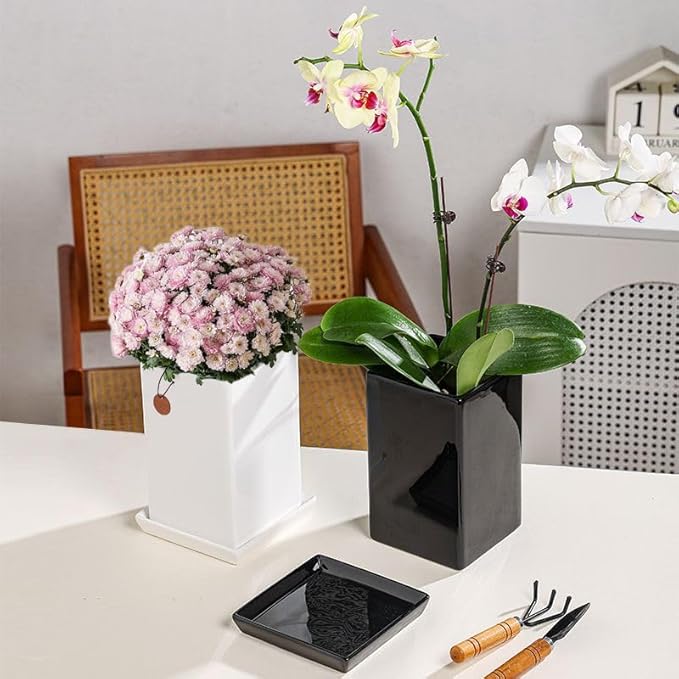 Square Plant Saucer 8 Inch 2 Pack,Plant Trays for Pots, White Ceramic Plant Saucers for Indoors Outdoors, Plant Drip Tray 4 6 8 10 12 14 Inch