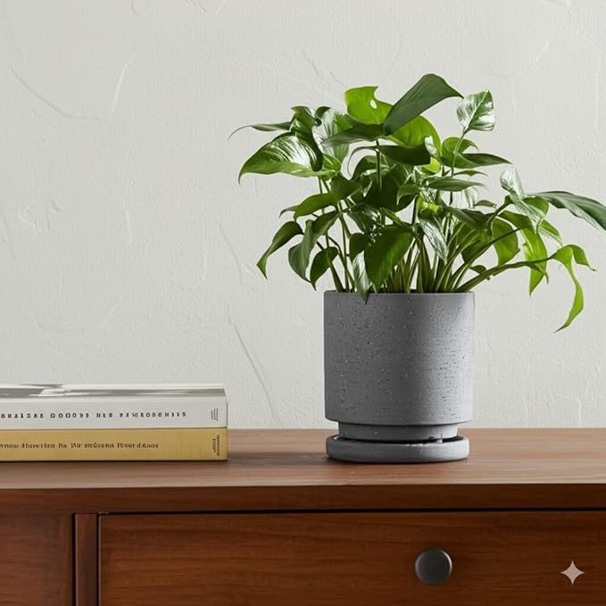 Nihow 5.7 Inch Plant Pot, Ceramic Pots for Plants with Drainage Hole and Saucer, Plant Pots Indoor for Home Garden Patio Office, Cylinder Planters for Indoor Plants, Charcoal Gray