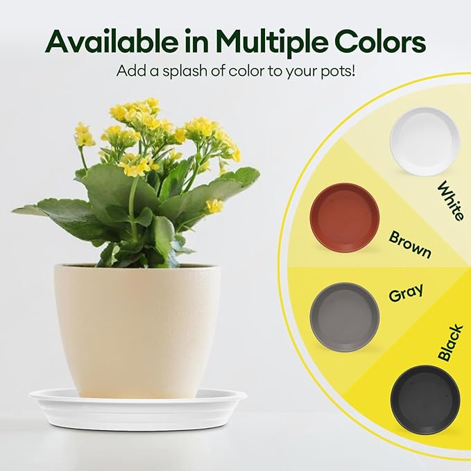 6 Pack Plant Saucer, 8 10 12 inch Plant Saucers for Indoor, Heavy Duty Plastic Plant Trays for pots, Grow Bags, Bird Baths, Flower Drip Trays for Indoor and Outdoor Uses (8", White)