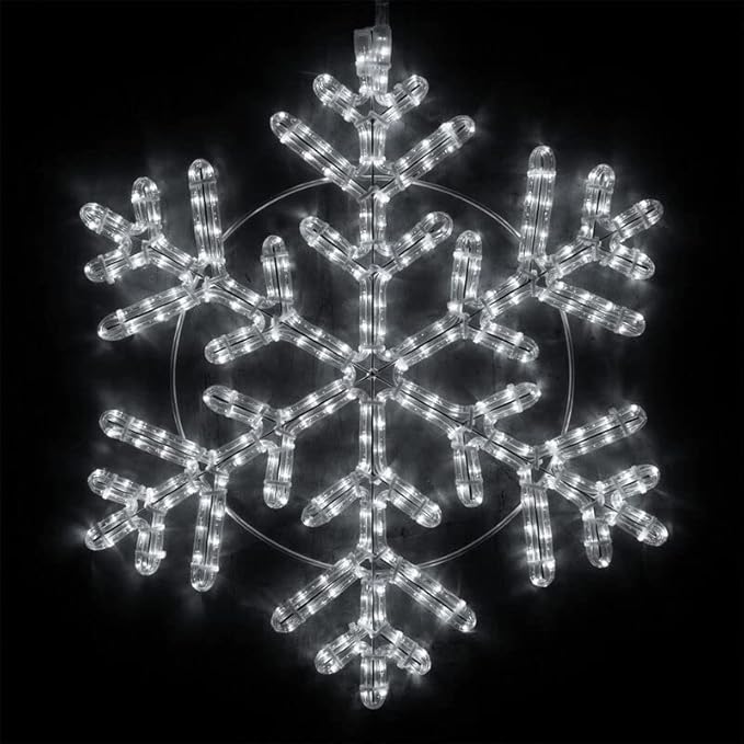 Wintergreen Lighting 24" LED Snowflake Hanging Christmas Light Decoration for Indoor Outdoor Use, 42 Point Rope Light (Cool White)