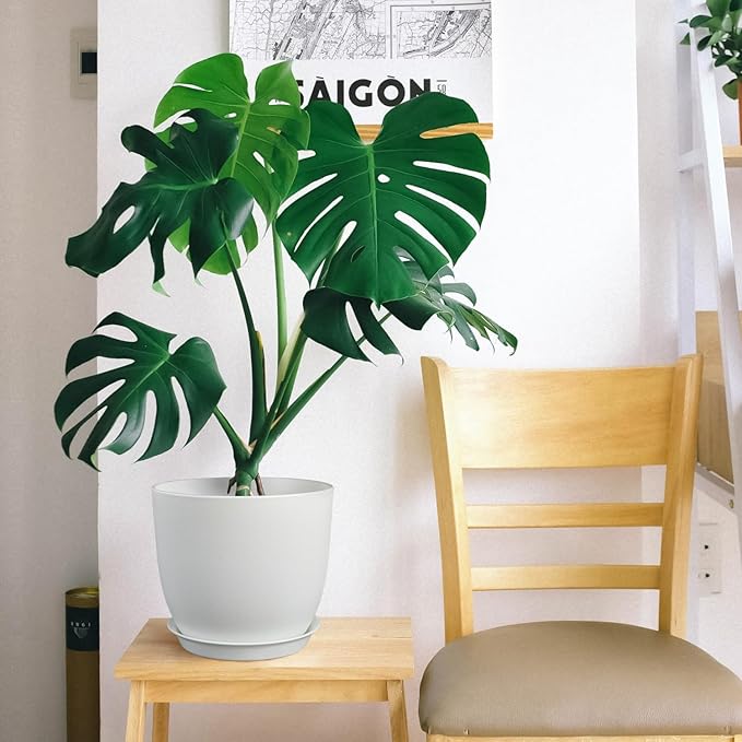 Plant Pots 8 Inch Set of 2, Flower Pots with Multi Mesh Drainage Holes, Planters for Indoor Outdoor Garden Plants and Flowers (White)