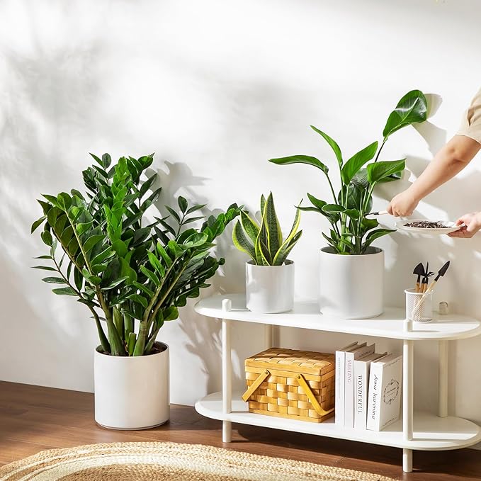 vancasso 6"+8"+10" Ceramic Pot for Plants, Large Outdoor Indoor Planter Pots with Drainage Holes, Set of 3, White