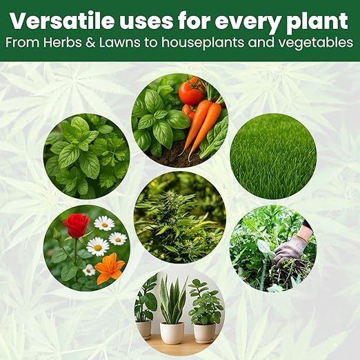 Concentrated Liquid Enzyme-Powered Organic Plant Food (8.45oz) | Enzyme-Rich Fertilizer Growth Booster for Bigger Buds & Stronger Roots, Ideal for Indoor Pots & Outdoor Gardening