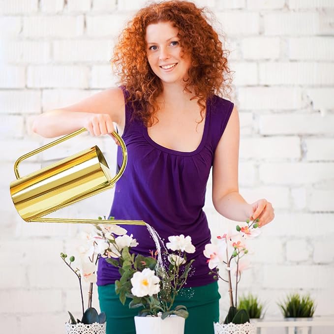 Watering Can for Indoor Plants, 50 oz/1.5L Stainless Steel Watering Can Pot with Long Spout, Garden Watering Cans with Comfortable Handle for Indoor House Plants Bonsai Flower Decorative