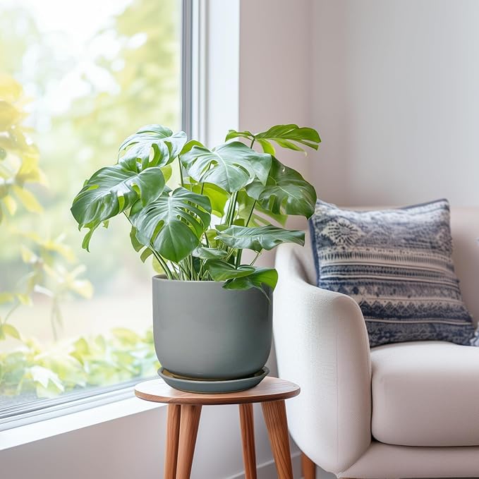 Ceramic Planter for Indoor Outdoor Plants - Cylinder Decorative 8 Inch Plant Pot with Drainage Hole and Saucer, Modern Home Decor, Gray