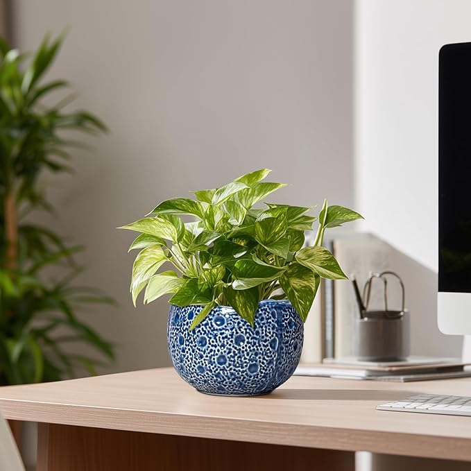 Orchid Pot - 6 Inch Ceramic Plant Pot for Indoor Outdoor, Round Unique Planters with Drainage Hole, Modern Round Decorative Flower Pots, Home Decor, Gifts for Plant Lovers, Blue