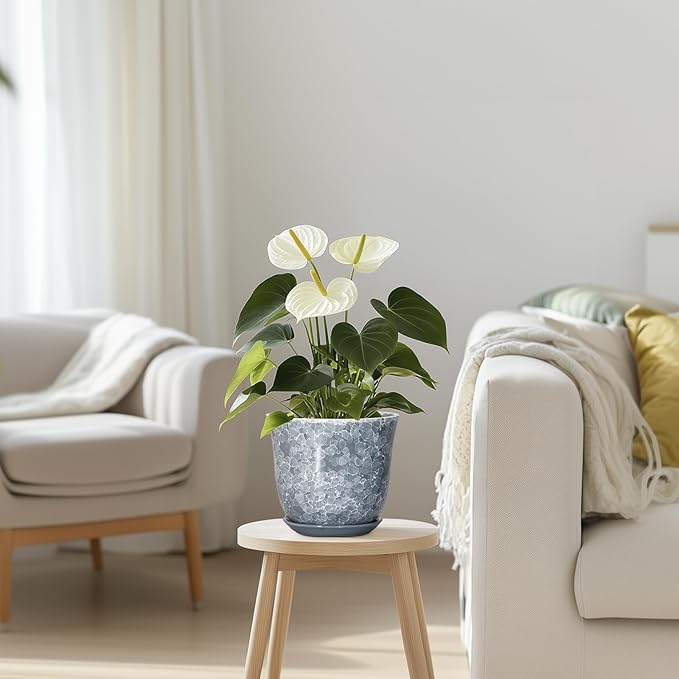 Ceramic Planter - 6 Inch Plant Pot for Indoor Outdoor, Small Plant Pots with Drainage Hole and Saucer, Modern Round Planter, Succulent Orchid Pot, Home Room Decor, Birthday Gifts, Grey