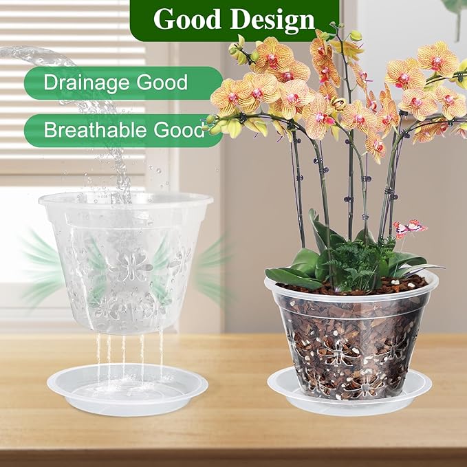 Orchid Pot, 8 Pack 6 inch Orchid Pots with Holes & Saucers, Clear Plastic Pot for Repotting, Breathable Ventilation Planters for Phalaenopsis, Dendrobium & Oncidium Orchids