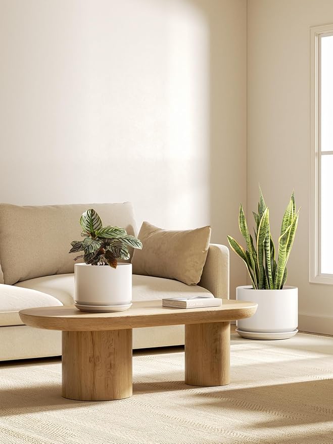 LE TAUCI Ceramic Plant Pots, Set of 2, 8 & 10 Inch Plant Pots Indoor with Saucer and Drainage, Modern Durable Planters for Home Decor, Great Gift for Plant Lover, White