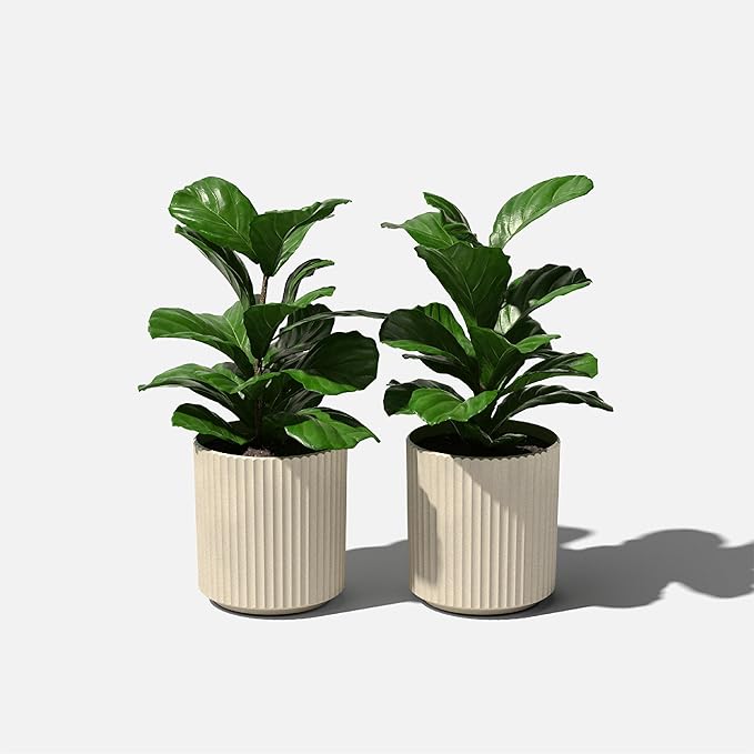 Veradek Demi Series Round Planter for Porch, Patio, Backyard | Durable Plastic-Stone Composite Material | Modern Décor for Tall Plants, Flowers