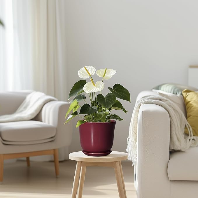 Ceramic Pots for Plants - 5.6 Inch Plant Pot for Indoor Outdoor, Round Succulent Orchid Pot with Drainage Hole and Saucer, Modern Small Planter, Window Office Desk Decor, Teacher Gifts, Red