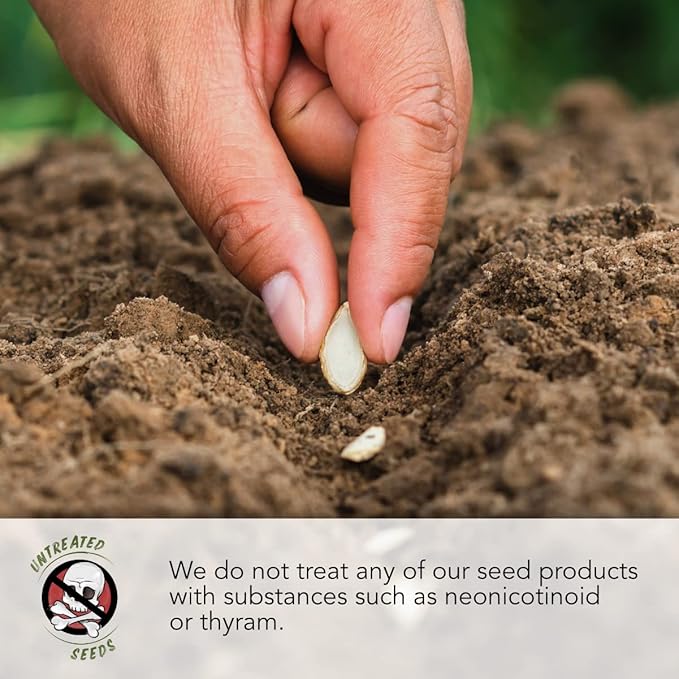 Seed Needs Sunflower Seeds to Plant Sunset Blend 7 Varieties Mix | 750+ Seeds Helianthus Annuus Heirloom Open Pollinated Bulk Flower Seed | Multicolored Sun Flowers Garden Favorite