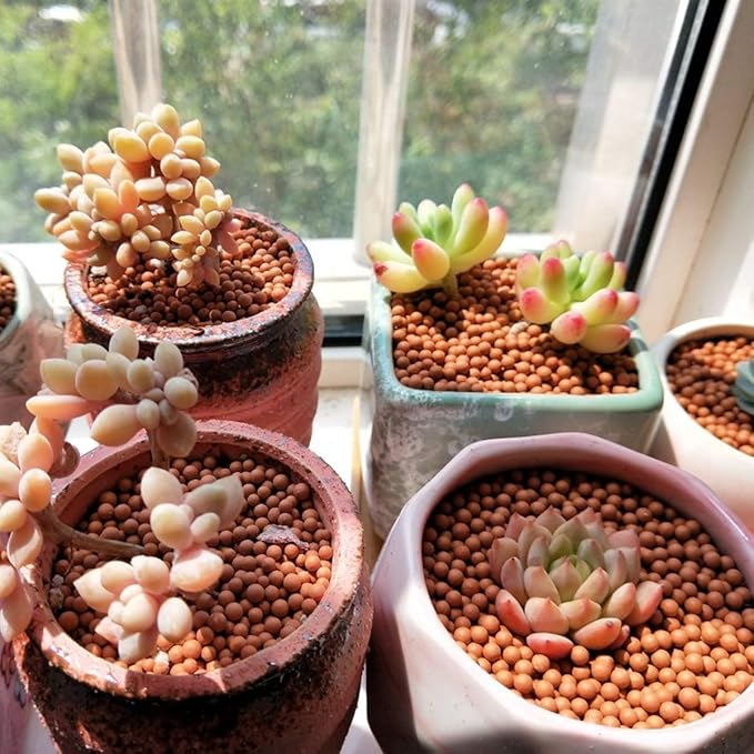 TOYPOPOR Clay Pebbles Gardening Ceramsite Orchid Hydroponic Grow Media Clay Rocks Drainage Water Purification Ceramsite Decor Cultivation Soil Stone Horticultural Grade for Hydroponics Aquaponics 6lb