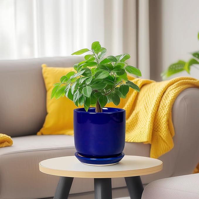 Succulent Pot 5 Inch - Modern Ceramic Planter for Indoor Plants with Drainage Hole and Saucer, Office Home Room Patio Decor, Blue