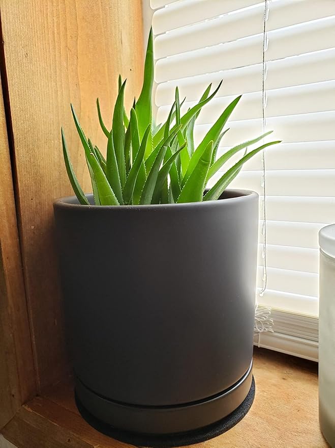 6 inch Matte Black Ceramic Plant Saucer (2 Pack)-Ceramic Drainage Tray for Plant Pot