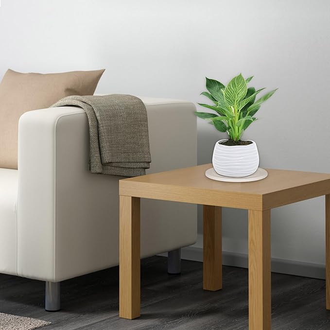 Plant Saucer Flower Pot Saucers Plant Trays for Pots Instant Dry Diatomaceous Earth Round Plant Drip Trays for Indoors Keeping Counter and Floors Dry and Clean (2Pcs White Small)