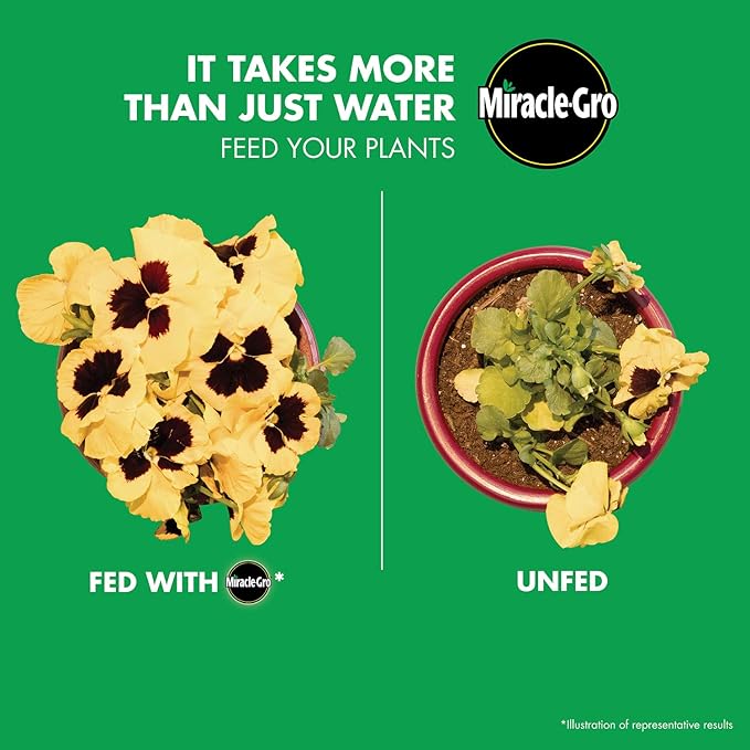 Miracle-Gro Water Soluble All Purpose Plant Food, Plant Fertilizer, 8 oz. (12-Pack)