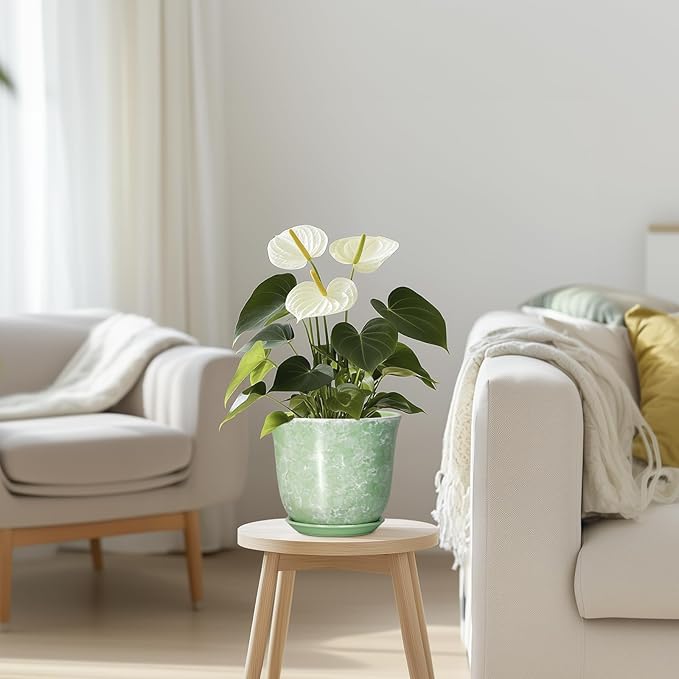 Ceramic Plant Pots - 5.6 Inch Plant Pot with Drainage Hole and Saucer, Round Orchid Succulent Pots for Indoor Outdoor, Small Modern Planter, Desk Window Room Decor, Green